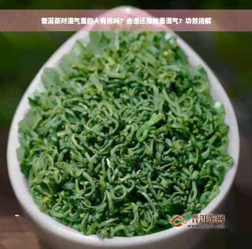 普洱茶对湿气重的人有用吗？去湿还是加重湿气？功效待解