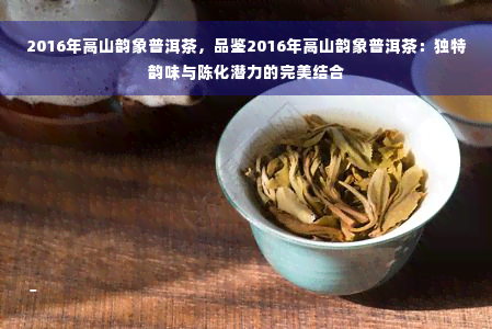 2016年高山韵象普洱茶，品鉴2016年高山韵象普洱茶：独特韵味与陈化潜力的完美结合