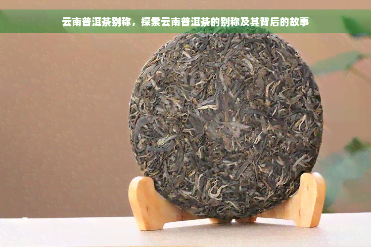 云南普洱茶别称，探索云南普洱茶的别称及其背后的故事