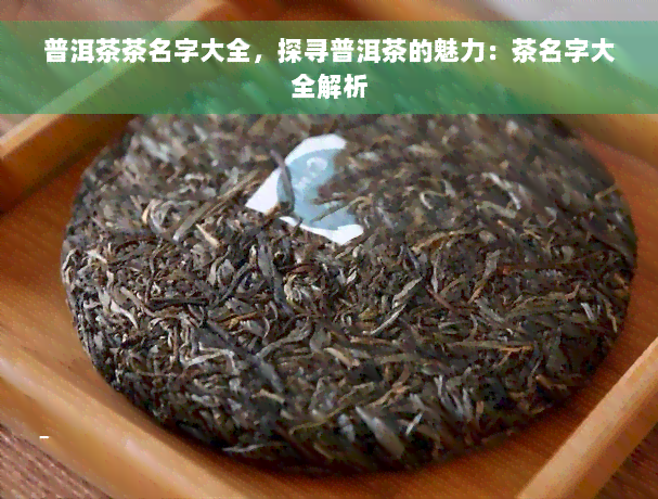 普洱茶茶名字大全，探寻普洱茶的魅力：茶名字大全解析