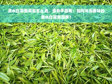 清水白菜普洱茶怎么泡，清新手指南：如何冲泡美味的清水白菜普洱茶？