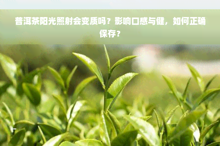 普洱茶阳光照射会变质吗？影响口感与健，如何正确保存？