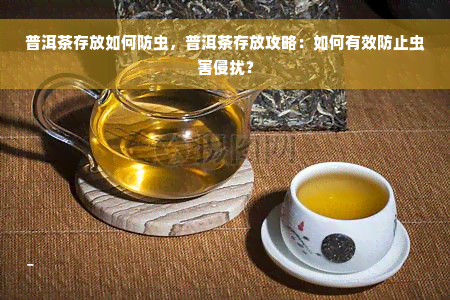 普洱茶存放如何防虫，普洱茶存放攻略：如何有效防止虫害侵扰？