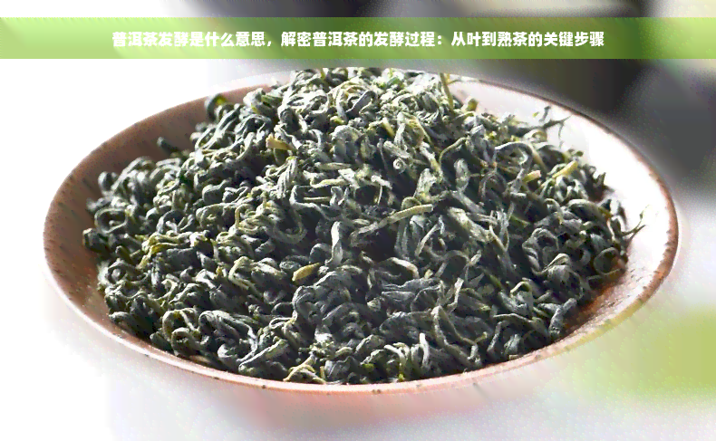 普洱茶发酵是什么意思，解密普洱茶的发酵过程：从叶到熟茶的关键步骤