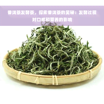 普洱茶发酵茶，探索普洱茶的奥秘：发酵过程对口感和营养的影响