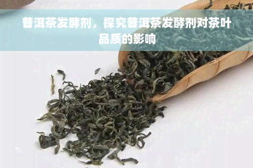 普洱茶发酵剂，探究普洱茶发酵剂对茶叶品质的影响