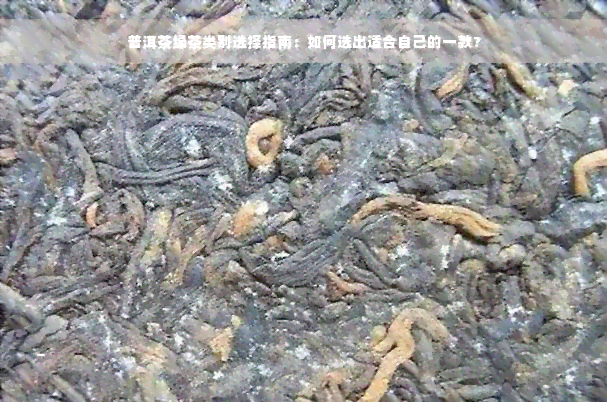 普洱茶绿茶类别选择指南：如何选出适合自己的一款？