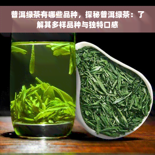 普洱绿茶有哪些品种，探秘普洱绿茶：了解其多样品种与独特口感