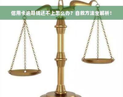 信用卡逾期钱还不上怎么办？自救方法全解析！