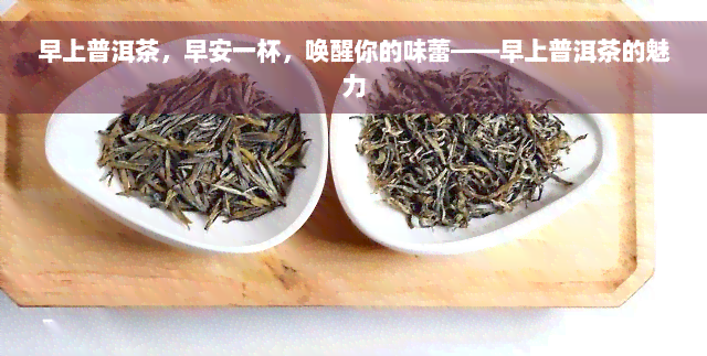 早上普洱茶，早安一杯，唤醒你的味蕾——早上普洱茶的魅力