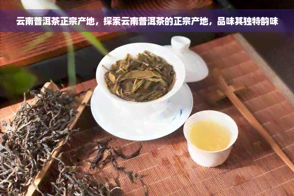 云南普洱茶正宗产地，探索云南普洱茶的正宗产地，品味其独特韵味