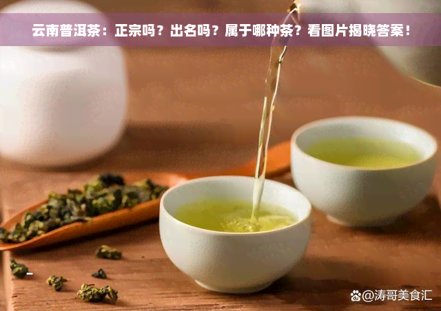 云南普洱茶：正宗吗？出名吗？属于哪种茶？看图片揭晓答案！