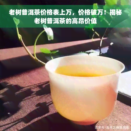 老树普洱茶价格表上万，价格破万！揭秘老树普洱茶的高昂价值