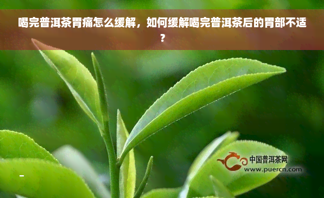 喝完普洱茶胃痛怎么缓解，如何缓解喝完普洱茶后的胃部不适？