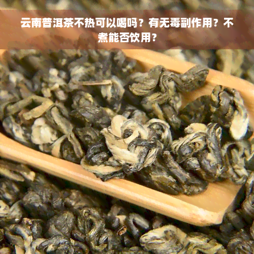 云南普洱茶不热可以喝吗？有无毒副作用？不煮能否饮用？