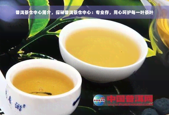 普洱茶仓中心简介，探秘普洱茶仓中心：专业存，用心呵护每一叶茶叶