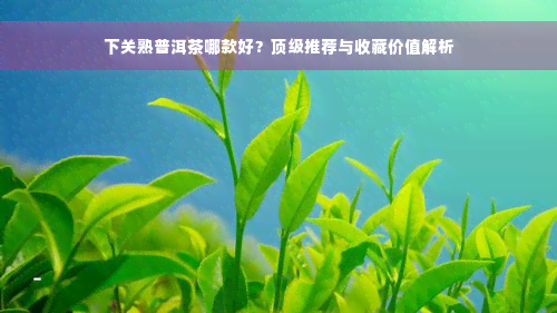 下关熟普洱茶哪款好？顶级推荐与收藏价值解析