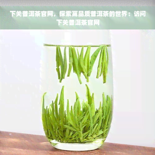 下关普洱茶官网，探索高品质普洱茶的世界：访问下关普洱茶官网