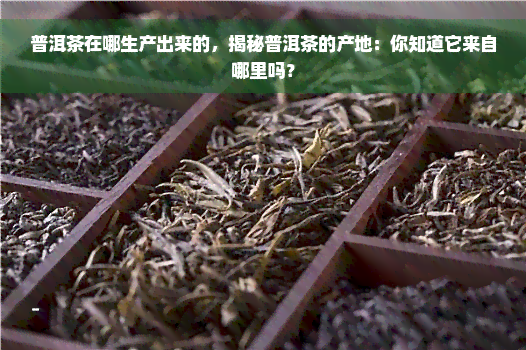 普洱茶在哪生产出来的，揭秘普洱茶的产地：你知道它来自哪里吗？