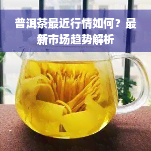 普洱茶最近行情如何？最新市场趋势解析