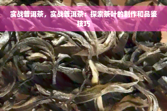 实战普洱茶，实战普洱茶：探索茶叶的制作和品鉴技巧