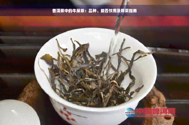 普洱茶中的牛屎茶：品种、能否饮用及购买指南