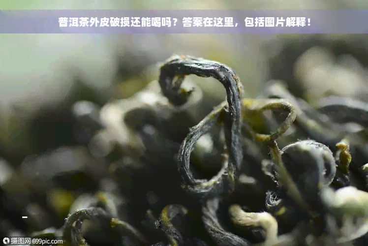 普洱茶外皮破损还能喝吗？答案在这里，包括图片解释！