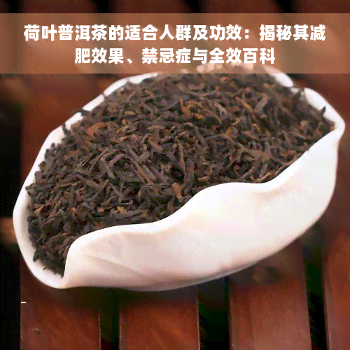 荷叶普洱茶的适合人群及功效：揭秘其减肥效果、禁忌症与全效百科