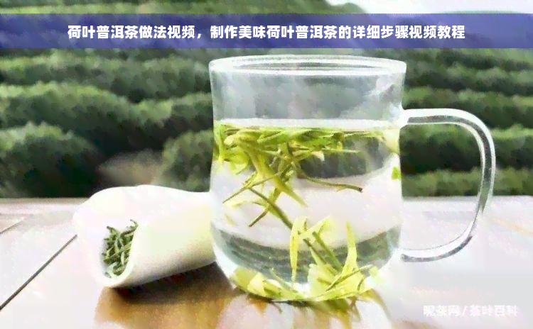 荷叶普洱茶做法视频，制作美味荷叶普洱茶的详细步骤视频教程