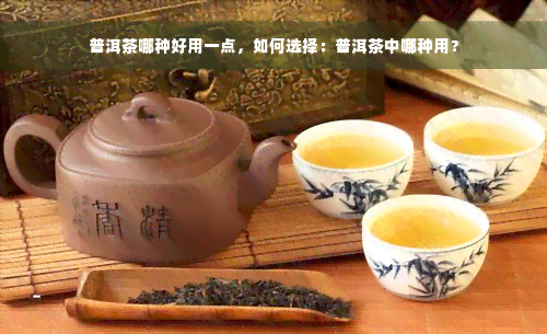 普洱茶哪种好用一点，如何选择：普洱茶中哪种用？