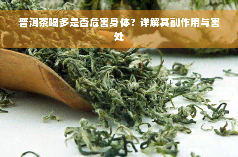 普洱茶喝多是否危害身体？详解其副作用与害处