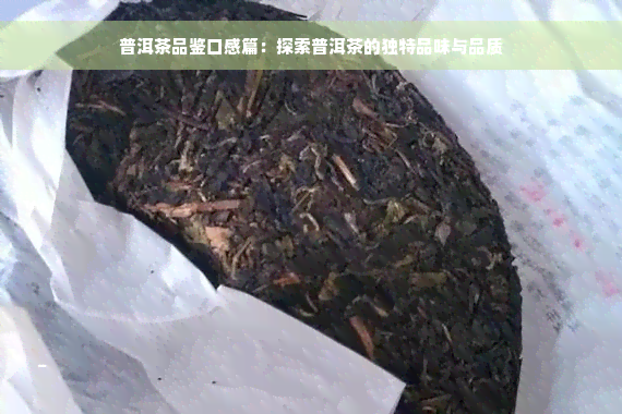 普洱茶品鉴口感篇：探索普洱茶的独特品味与品质