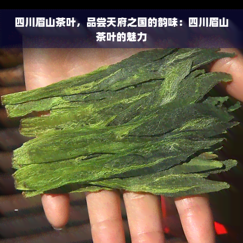 四川眉山茶叶，品尝天府之国的韵味：四川眉山茶叶的魅力