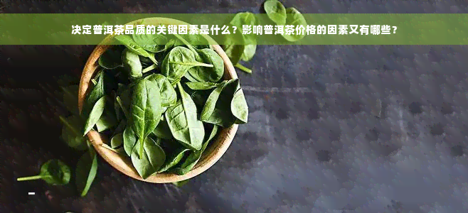 决定普洱茶品质的关键因素是什么？影响普洱茶价格的因素又有哪些？