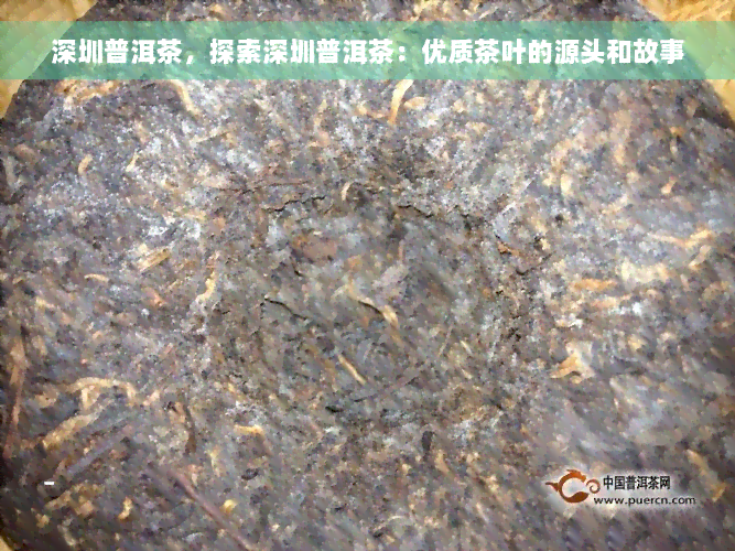 深圳普洱茶，探索深圳普洱茶：优质茶叶的源头和故事