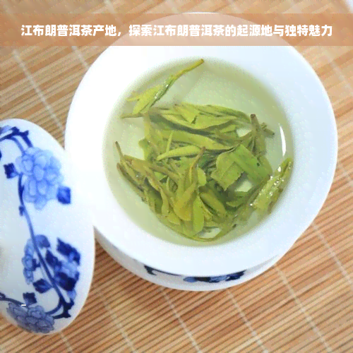 江布朗普洱茶产地，探索江布朗普洱茶的起源地与独特魅力