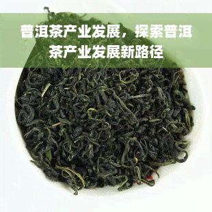 普洱茶产业发展，探索普洱茶产业发展新路径