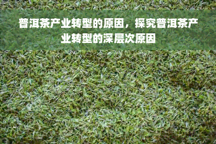 普洱茶产业转型的原因，探究普洱茶产业转型的深层次原因