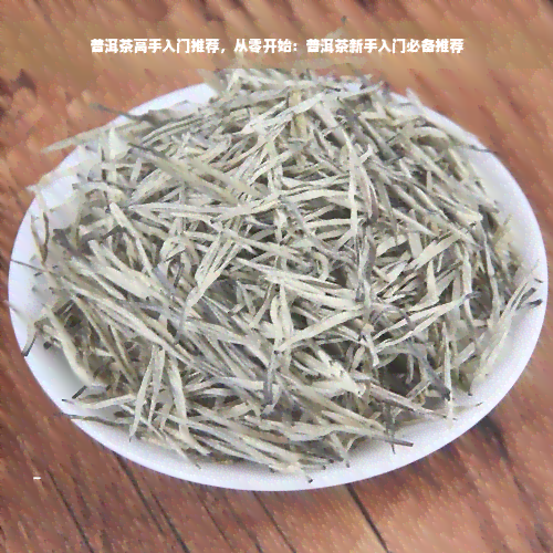 普洱茶高手入门推荐，从零开始：普洱茶新手入门必备推荐