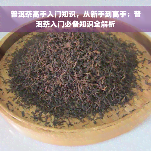 普洱茶高手入门知识，从新手到高手：普洱茶入门必备知识全解析