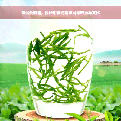 普洱茶明朝，探秘明朝时期普洱茶的历与文化