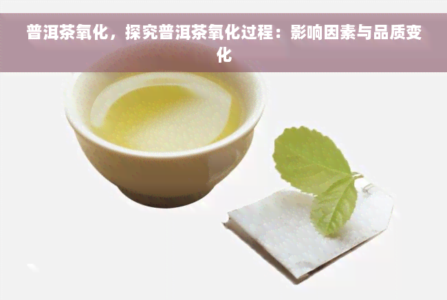 普洱茶氧化，探究普洱茶氧化过程：影响因素与品质变化