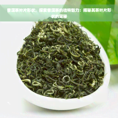 普洱茶叶片形状，探索普洱茶的独特魅力：揭秘其茶叶片形状的奥秘