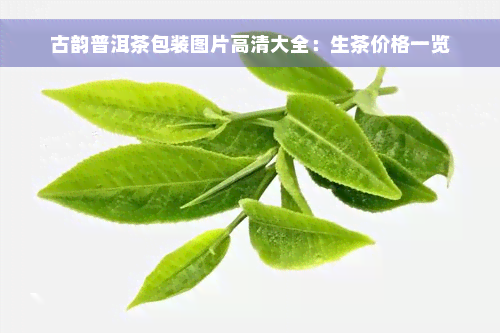 古韵普洱茶包装图片高清大全：生茶价格一览