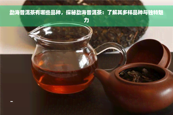 勐海普洱茶有哪些品种，探秘勐海普洱茶：了解其多样品种与独特魅力