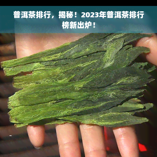 普洱茶排行，揭秘！2023年普洱茶排行榜新出炉！