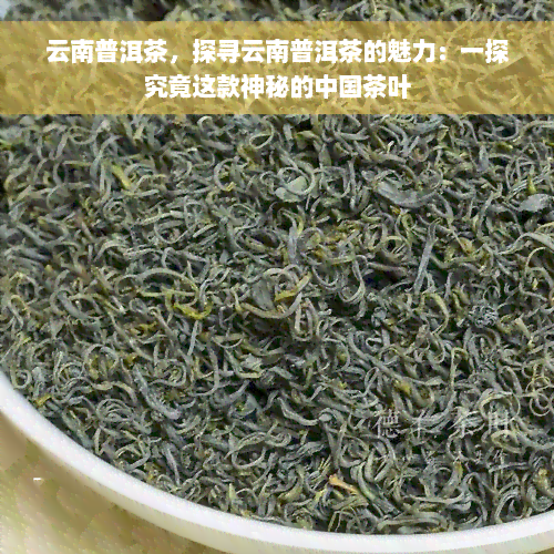 云南普洱茶，探寻云南普洱茶的魅力：一探究竟这款神秘的中国茶叶