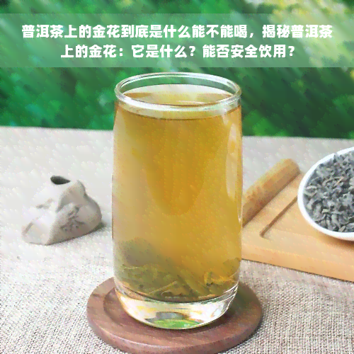 普洱茶上的金花到底是什么能不能喝，揭秘普洱茶上的金花：它是什么？能否安全饮用？