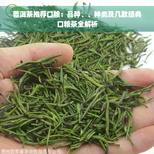 普洱茶推荐口粮：品种、、种类及几款经典口粮茶全解析