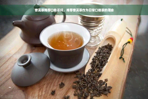 普洱茶推荐口粮茶吗，推荐普洱茶作为日常口粮茶的理由